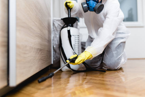Best Pest Prevention Services  in Iceville, AL