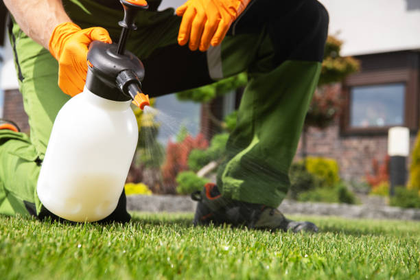 Best Residential Pest Control  in Iceville, AL