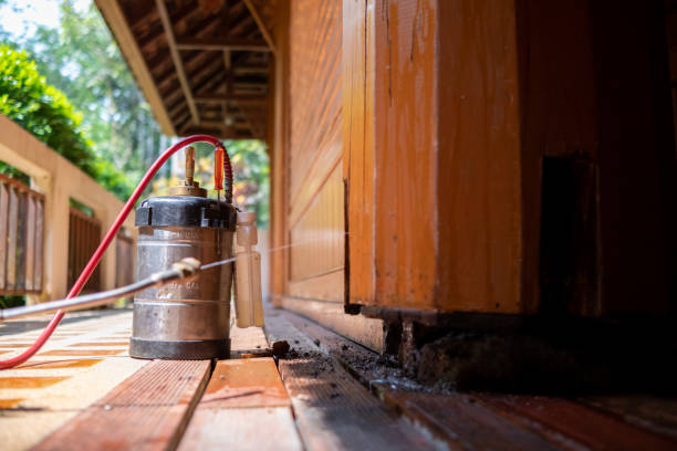 Best Pest Inspection Near Me  in Iceville, AL