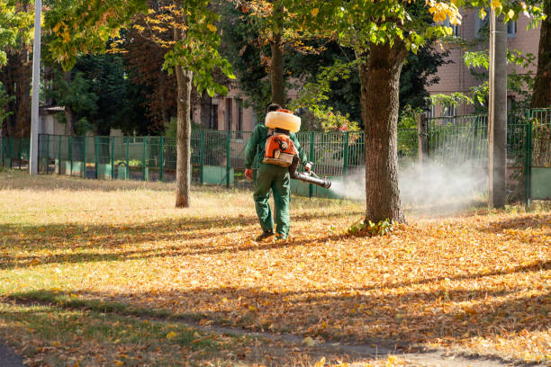 Best Flea Control Services  in Iceville, AL