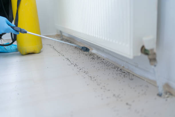 Best Wildlife Control Services  in Iceville, AL