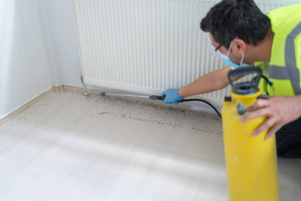 Best Affordable Pest Control Services  in Iceville, AL
