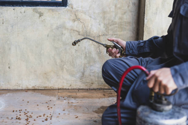 Best Rat Extermination Near Me  in Iceville, AL
